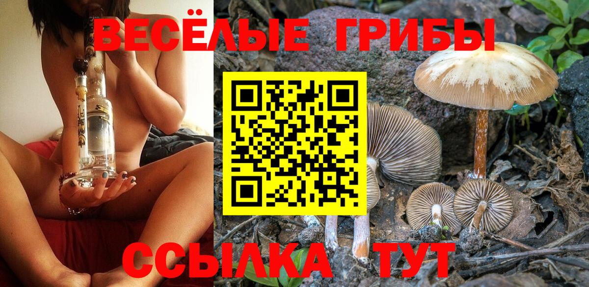 Псилоцибиновые грибы MAGIC MUSHROOMS  Вход с VPN  Феодосия 