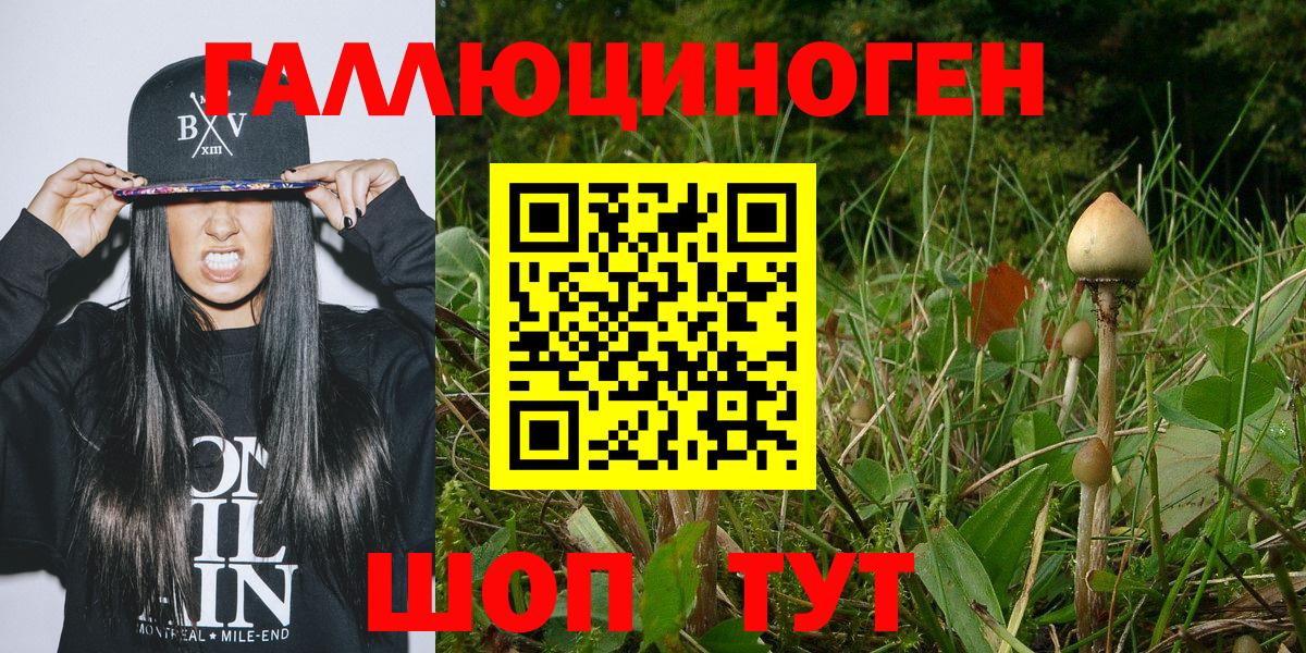 Галлюциногенные грибы ЛСД Феодосия